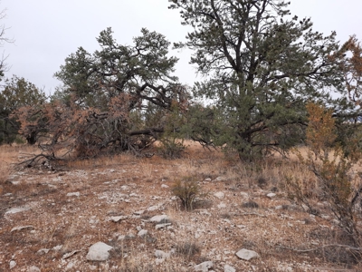 Very Secluded - image 9