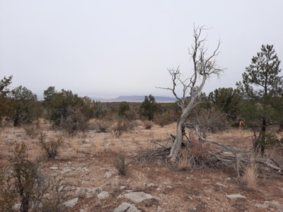 Very Secluded - image 7