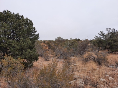 Very Secluded - image 6