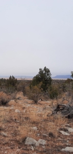 Very Secluded - image 1
