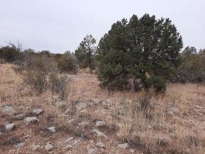 Very Secluded - image 5