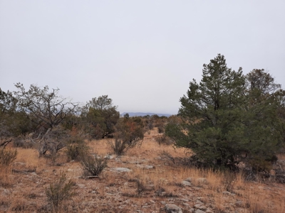 Very Secluded - image 4