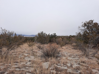 Very Secluded - image 8