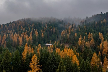 A Spacious Home with Beautiful Cabinet Views - image 6