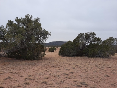 Beautiful Property - image 10