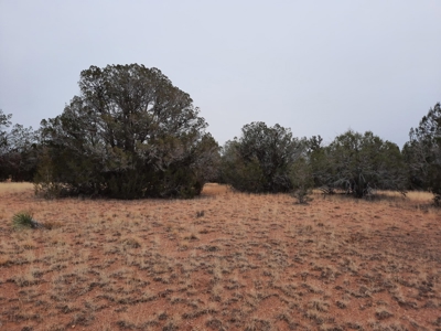 Beautiful Property - image 8