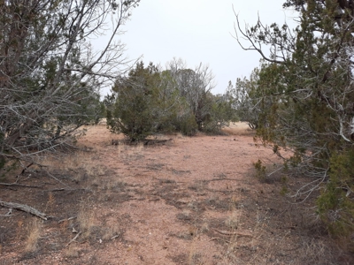 Beautiful Property - image 11
