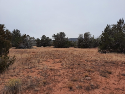 Beautiful Property - image 1