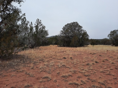 Beautiful Property - image 5