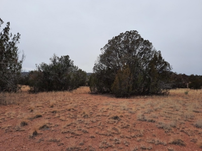Beautiful Property - image 6