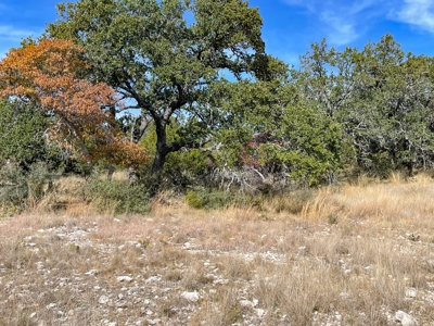 300 Acre Hill Country Ranch with Secluded Cabin & live water - image 43