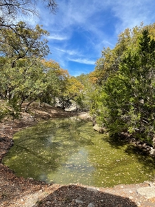 300 Acre Hill Country Ranch with Secluded Cabin & live water - image 22