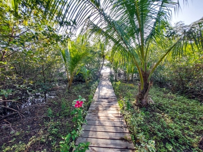 Over the Water Bungalow on Caribbean Sea REDUCED PRICE - image 16