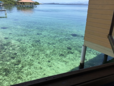 Over the Water Bungalow on Caribbean Sea REDUCED PRICE - image 29