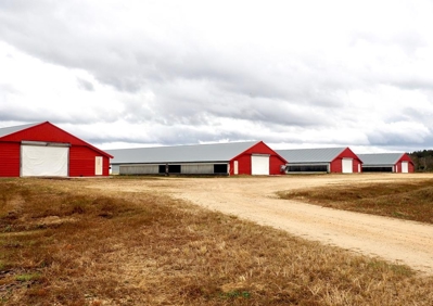 Poultry Farm 8 House Broiler Farm for Sale South Mississippi