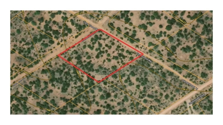 Land with Big Trees and Bigger Views for Sale in Seligman AZ - image 2