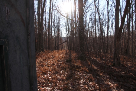 Northern Michigan Hunting Lodge For Sale Alpena Co MI Deer - image 44