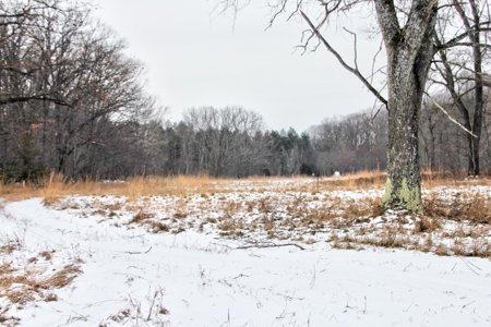 Northern Michigan Hunting Lodge For Sale Alpena Co MI Deer - image 11