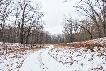 Northern Michigan Hunting Lodge For Sale Alpena Co MI Deer - image 8