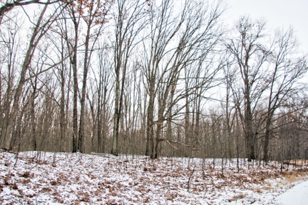 Northern Michigan Hunting Lodge For Sale Alpena Co MI Deer - image 9