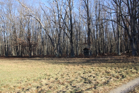 Northern Michigan Hunting Lodge For Sale Alpena Co MI Deer - image 48