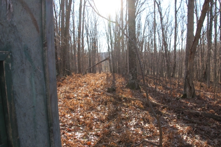 Northern Michigan Hunting Lodge For Sale Alpena Co MI Deer - image 43