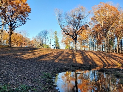 Building Land with Pond for Sale in Floyd VA! - image 7