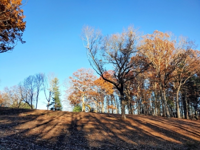 Building Land with Pond for Sale in Floyd VA! - image 8
