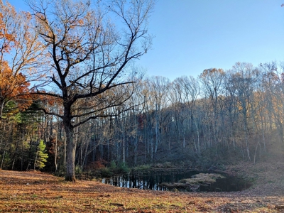 Building Land with Pond for Sale in Floyd VA! - image 1
