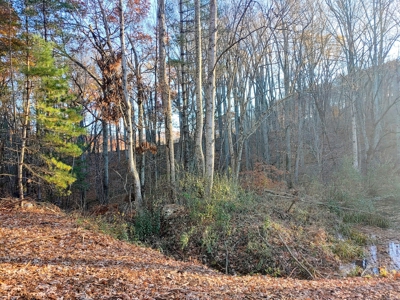 Building Land with Pond for Sale in Floyd VA! - image 9