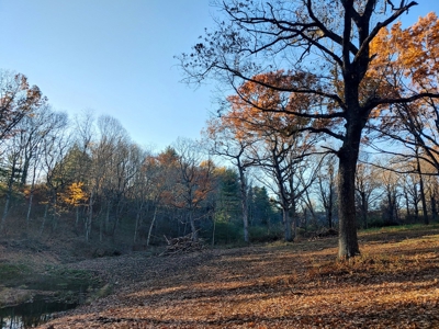 Building Land with Pond for Sale in Floyd VA! - image 10
