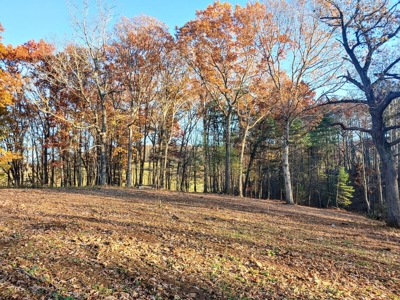 Building Land with Pond for Sale in Floyd VA! - image 4