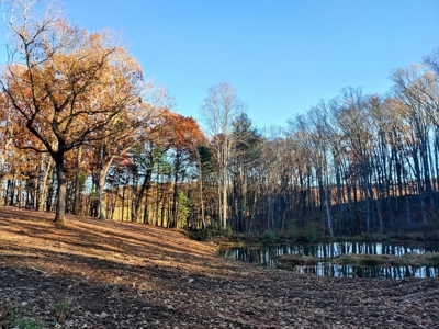 Building Land with Pond for Sale in Floyd VA! - image 5