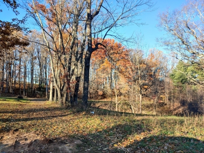 Building Land with Pond for Sale in Floyd VA! - image 2