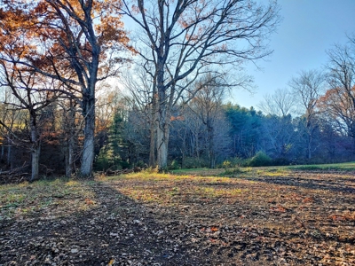 Building Land with Pond for Sale in Floyd VA! - image 3