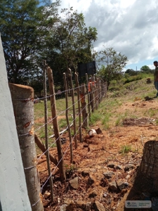 Lot For Sale In Santiago Veraguas - image 4
