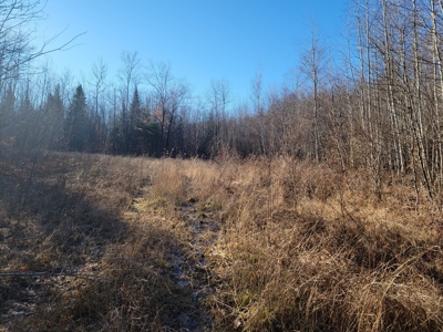 Land for sale in Prentiss, Maine - image 4