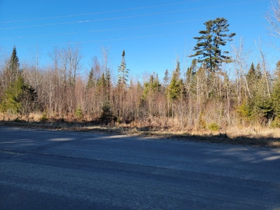 Land for sale in Prentiss, Maine - image 16