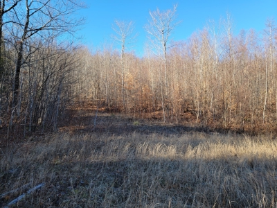 Land for sale in Prentiss, Maine - image 9