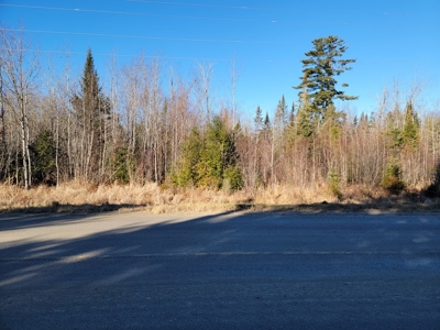 Land for sale in Prentiss, Maine - image 17