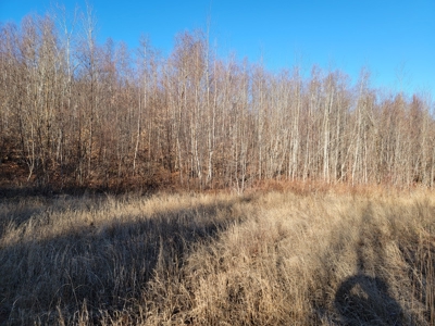 Land for sale in Prentiss, Maine - image 10