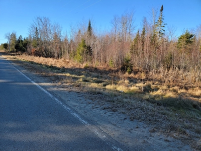 Land for sale in Prentiss, Maine - image 15