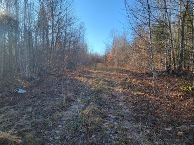 Land for sale in Prentiss, Maine - image 2