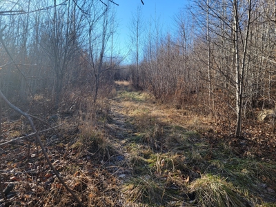 Land for sale in Prentiss, Maine - image 3