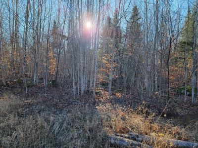 Land for sale in Prentiss, Maine - image 8