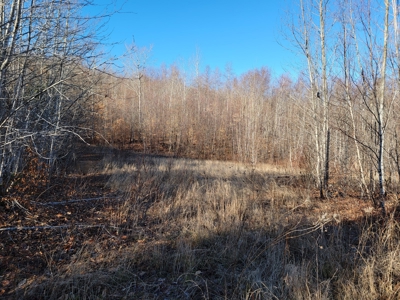 Land for sale in Prentiss, Maine - image 13