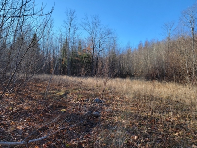 Land for sale in Prentiss, Maine - image 5