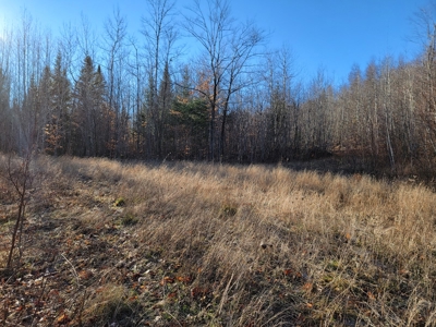 Land for sale in Prentiss, Maine - image 1