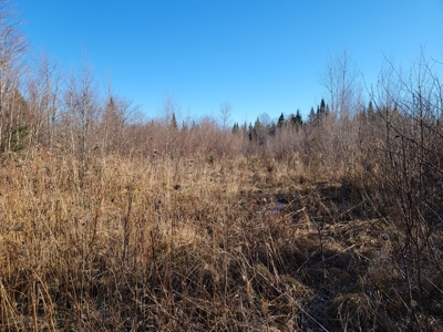 Land for sale in Prentiss, Maine - image 12