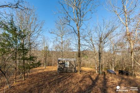 Marvelous Hunting Land in the Ouachita National Forest - image 5